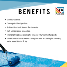 Load image into Gallery viewer, Garage & Roller Shutter Door Paint Multi purpose for Wood and Metal Garage Door Refurbishment