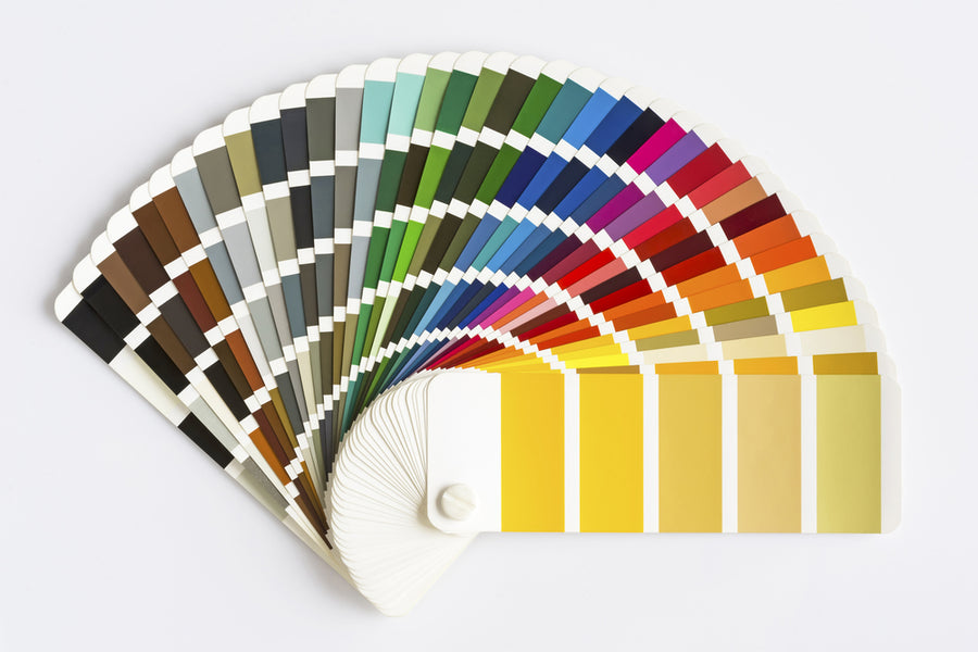 The 6 Most Popular Paint Colours of 2024
